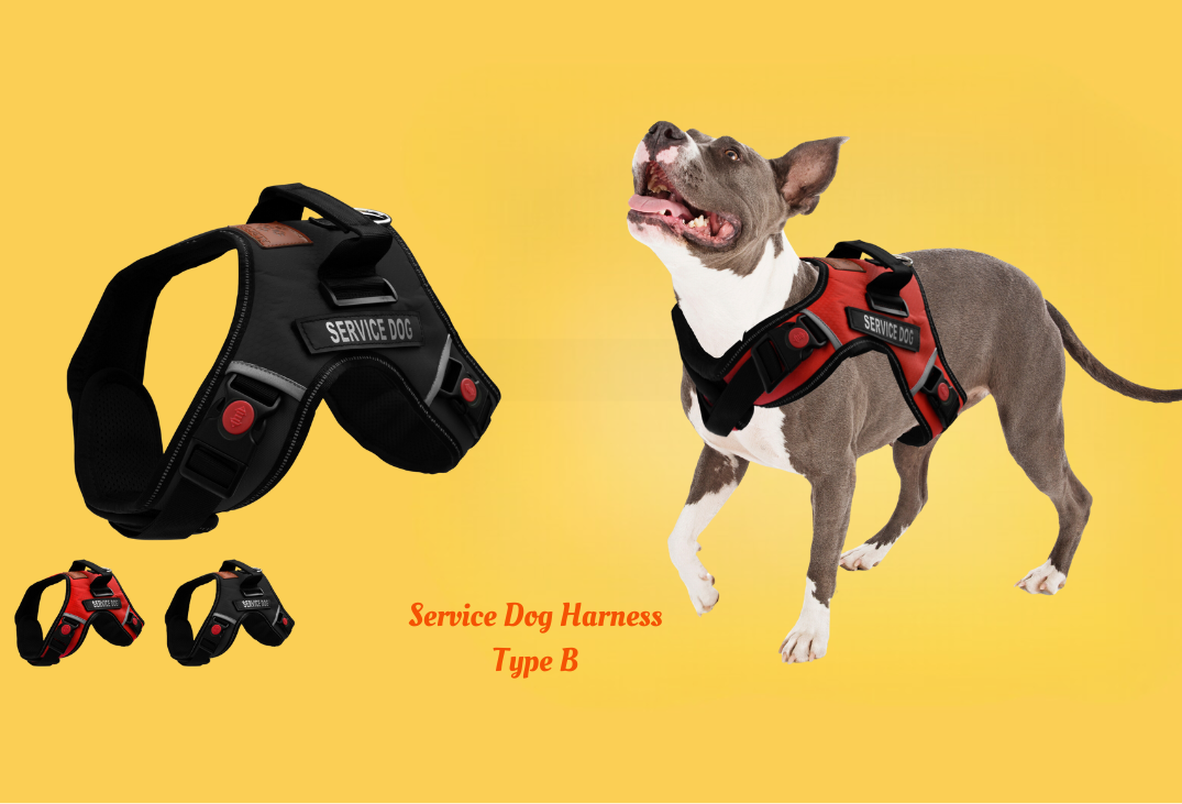 Service Dog Harness Type B