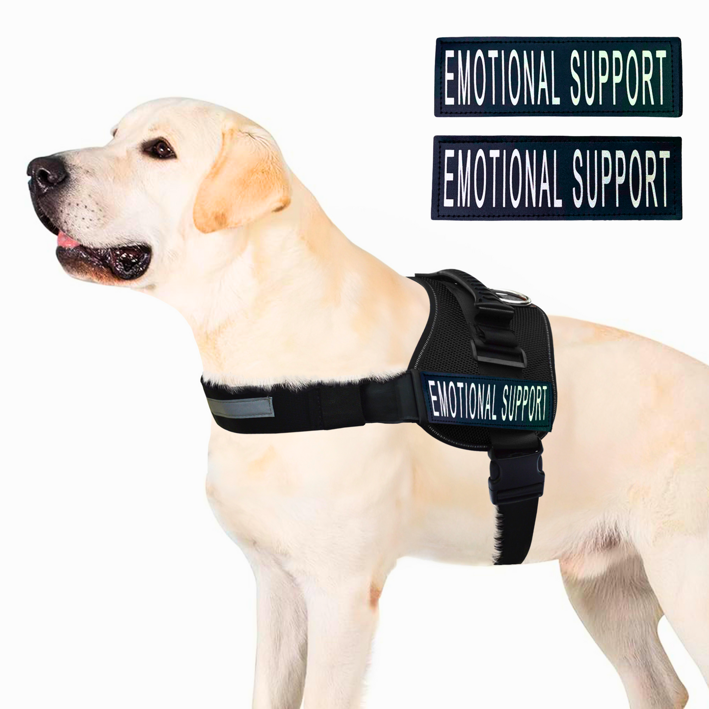 ALBCORP Service Dog Vest Harness - Reflective - Woven Polyester and Nylon, Comfy Mesh Padding - Sizes from XXS to XL – Service Dog Patches Included.-Dog Vest Harness-AlbCorpShop