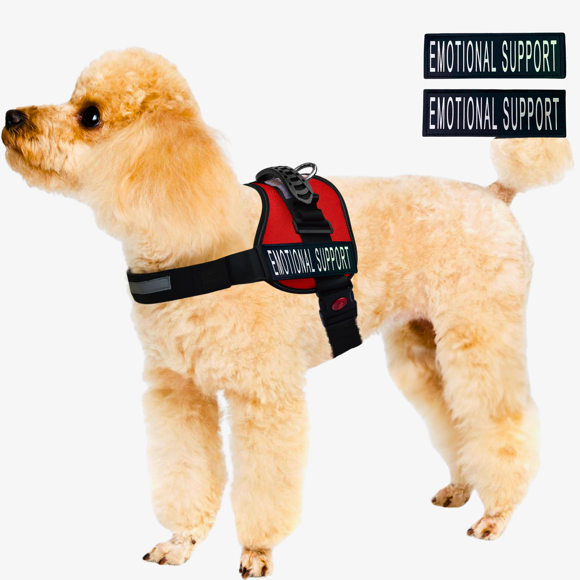 ALBCORP Service Dog Vest Harness - Reflective - Woven Polyester and Nylon, Comfy Mesh Padding - Sizes from XXS to XL – Service Dog Patches Included.-Dog Vest Harness-AlbCorpShop