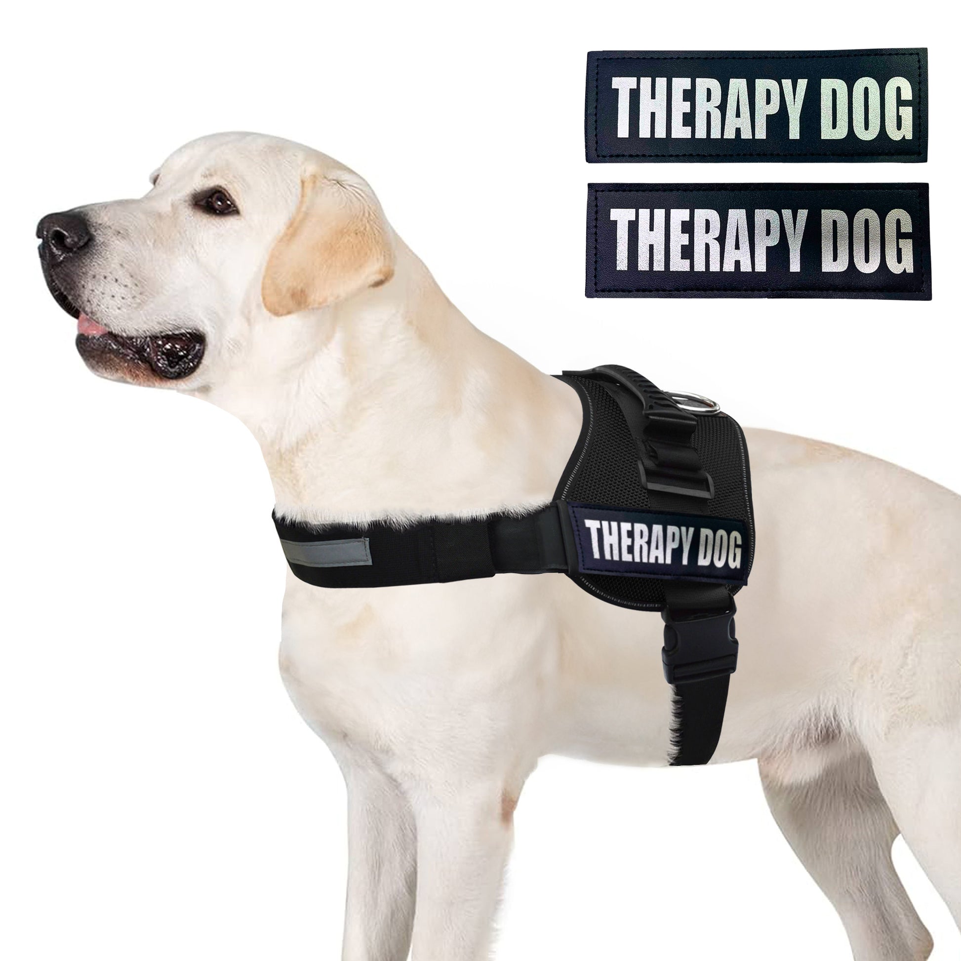 ALBCORP Service Dog Vest Harness - Reflective - Woven Polyester and Nylon, Comfy Mesh Padding - Sizes from XXS to XL – Service Dog Patches Included.-Dog Vest Harness-AlbCorpShop