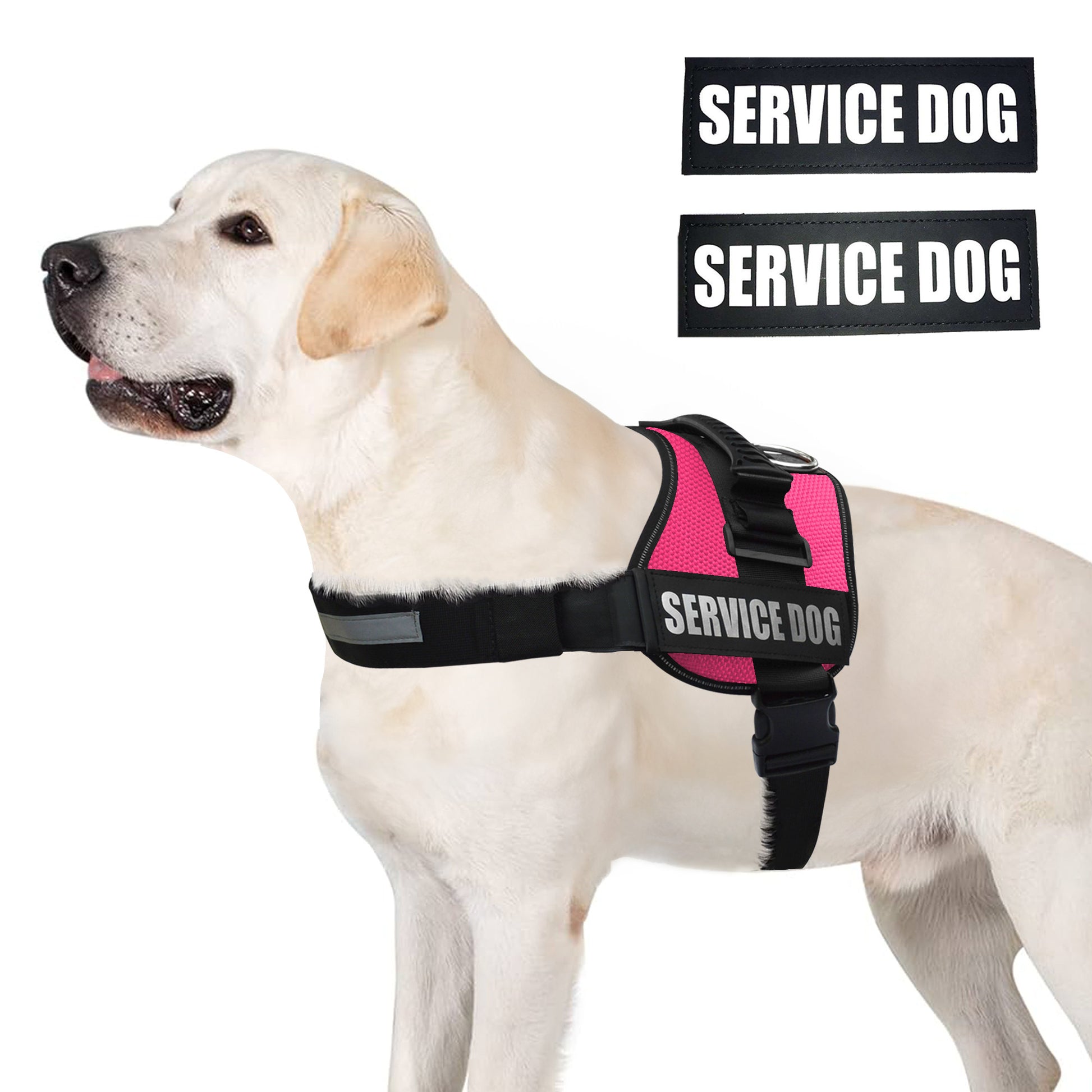 ALBCORP Reflective Service Dog Vest Harness -XXS to XL, Red Camo-Dog Vest Harness-AlbCorpShop