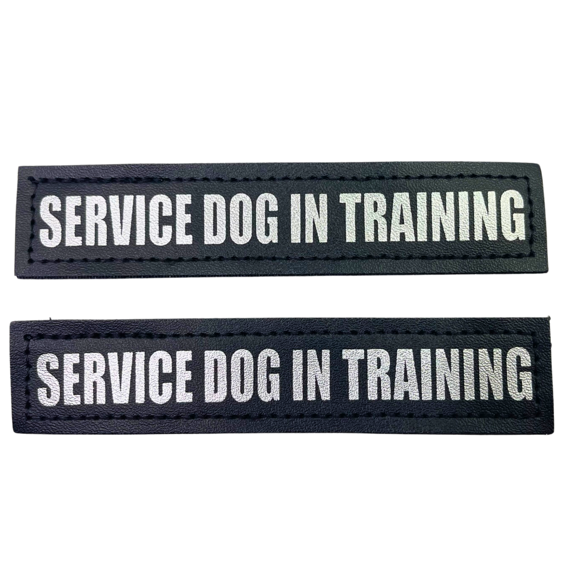 ALBCORP Service Dog Vest Harness - Reflective - Woven Polyester and Nylon, Comfy Mesh Padding - Sizes from XXS to XL – Service Dog Patches Included.-Dog Vest Harness-AlbCorpShop