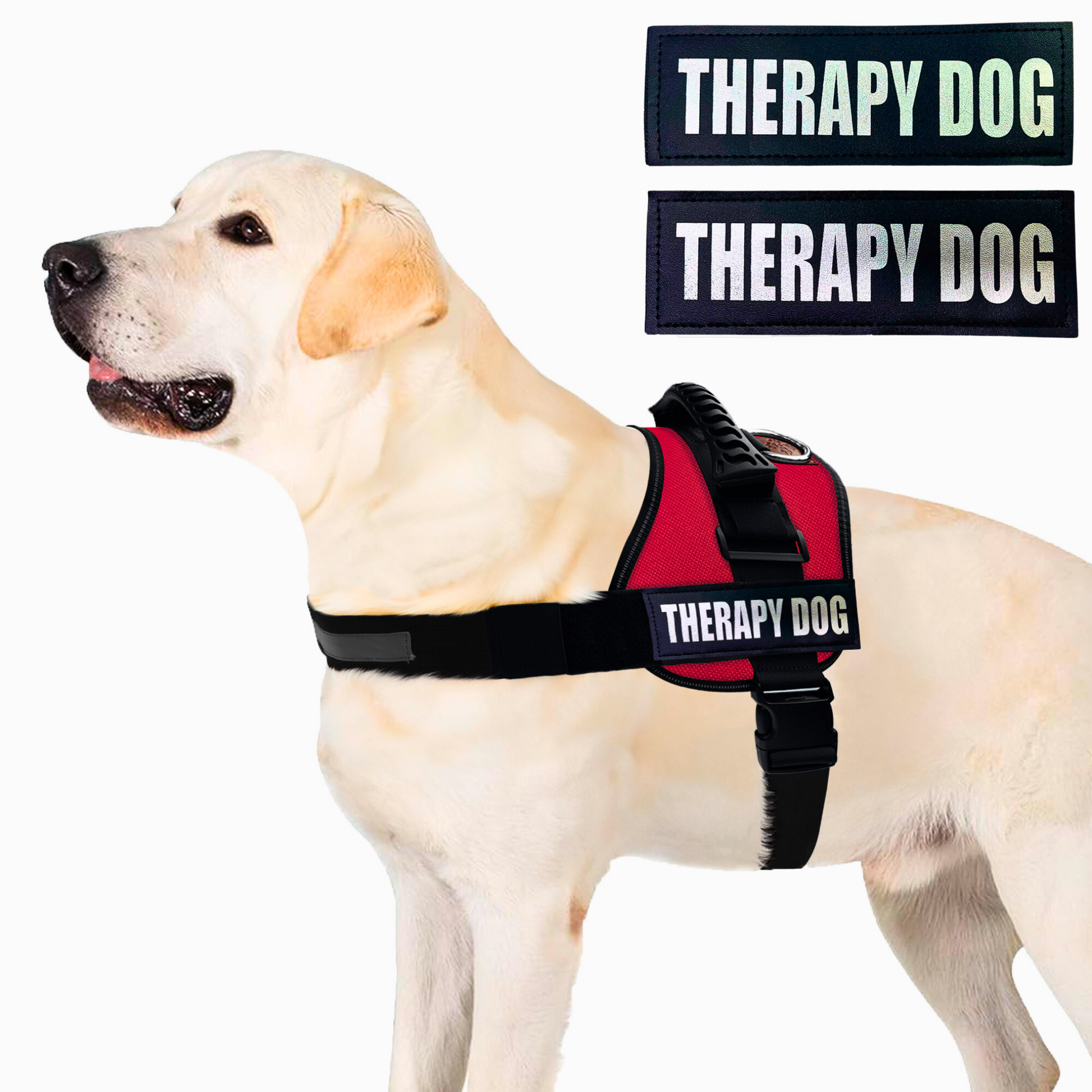 ALBCORP Service Dog Vest Harness - Reflective - Woven Polyester and Nylon, Comfy Mesh Padding - Sizes from XXS to XL – Service Dog Patches Included.-Dog Vest Harness-AlbCorpShop