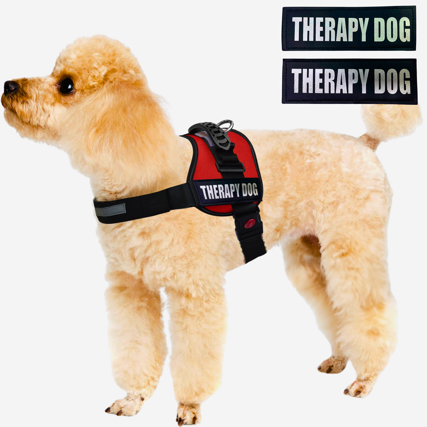Official therapy dog vest online
