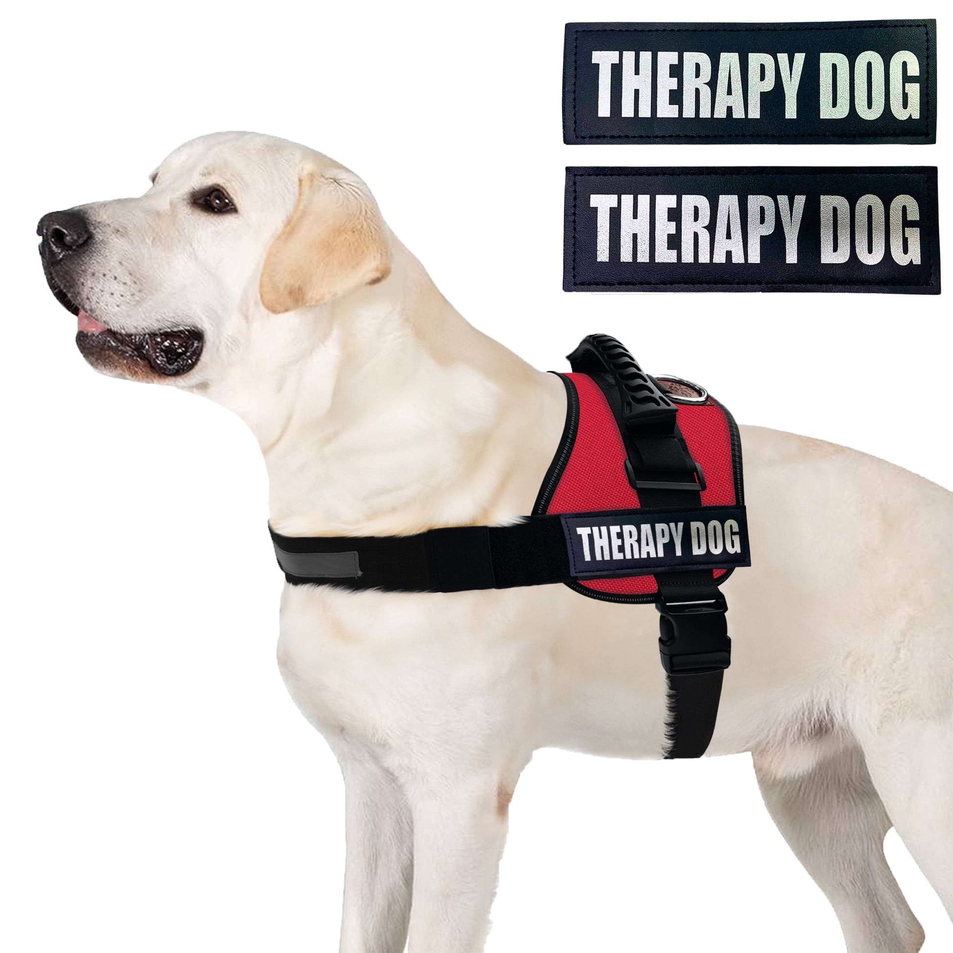 ALBCORP Service Dog Vest Harness - Reflective - Woven Polyester and Nylon, Comfy Mesh Padding - Sizes from XXS to XL – Service Dog Patches Included.-Dog Vest Harness-AlbCorpShop