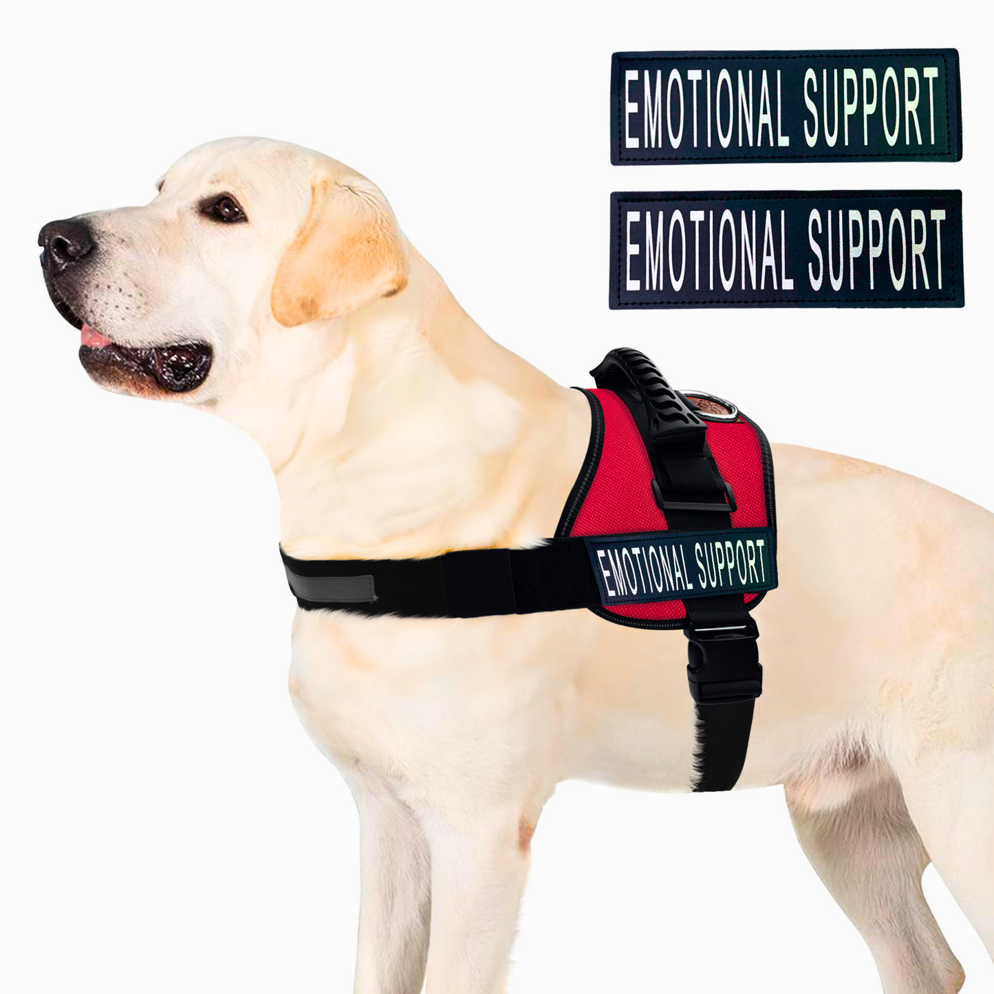 ALBCORP Emotional Support Dog Vest – Reflective Harness - Woven Polyester and Nylon, Comfy Mesh Padding - Sizes from XXS to XL – Emotional Support Dog Patches Included.