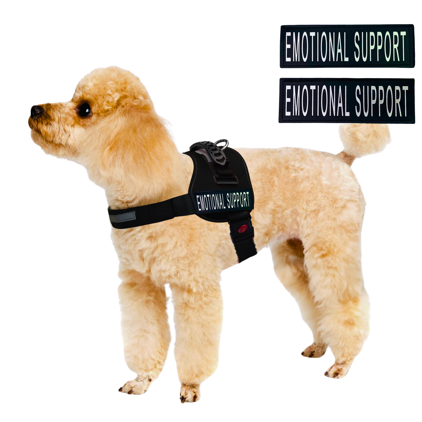 ALBCORP Emotional Support Dog Vest – Reflective Harness - Woven Polyester and Nylon, Comfy Mesh Padding - Sizes from XXS to XL – Emotional Support Dog Patches Included.